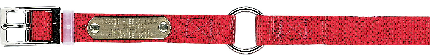 Cabela's Personalized Nylon Dog Identification Collar Cabela's